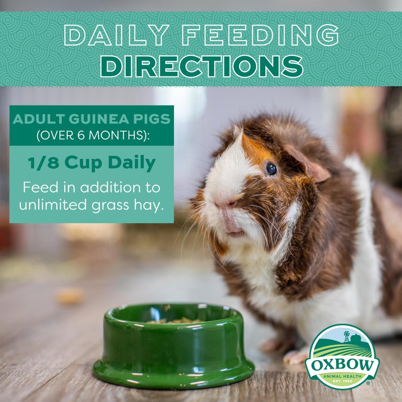 Oxbow Essentials Guinea Pig Food, Adult Guinea Pig, Made with Oxbow Timothy Hay, Pet Food Pellets with Vitamin C, Small Animal Pet Products, Made in USA, High Fiber, 10 lb. bag - Image 3