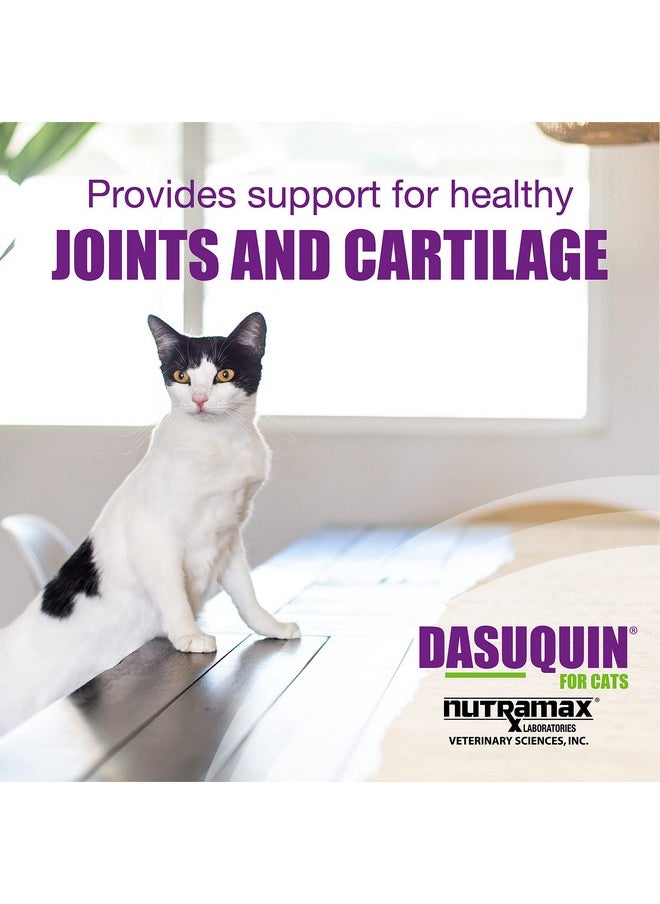 Dasuquin - Nutramax Dasuquin Joint Health Supplement For Cats  With Glucosamine, Chondroitin, Asu, Boswellia Serrata Extract, Green Tea Extract, And Omega3, 84 Soft Chews - Image 1