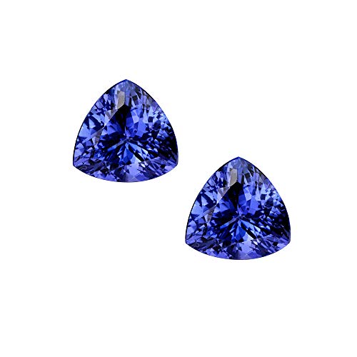 Wixine 2Pcs Beautiful Blue Tanzanite 10mm Stunning Trillion Cut Loose Gemstone - Image 1
