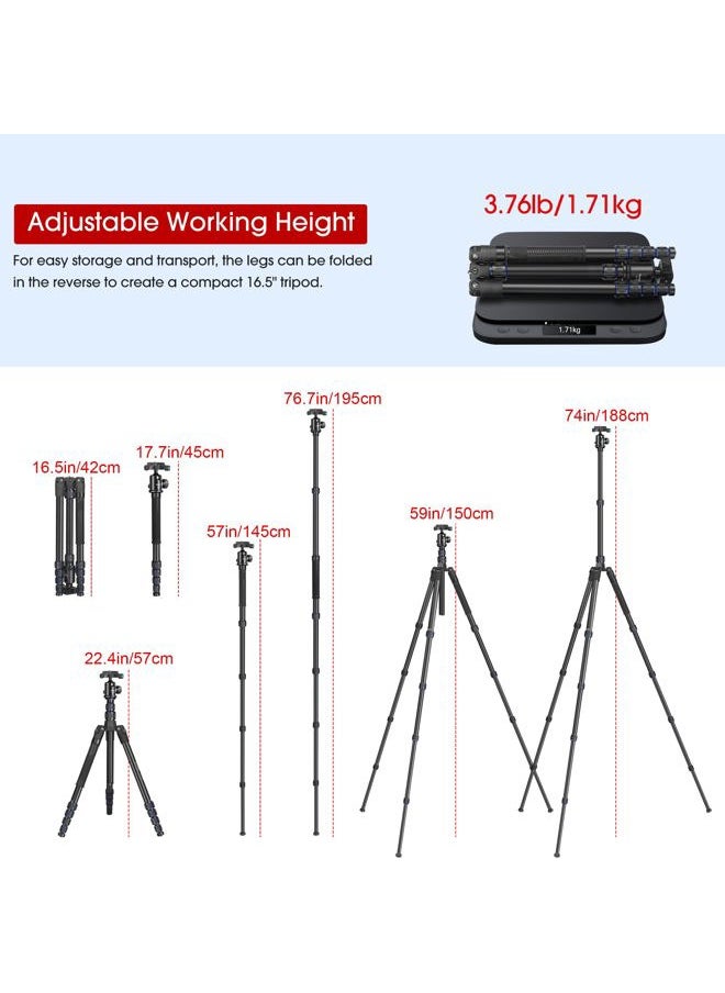 Manbily Camera Tripod, Manbily 74" Aluminum Travel Tripod Monopod Stand for Camera DSLR Phone, 360° Ball Head w Handle and Extra 1/4" QR Plate, Payload 17.6lbs, Compatible with Canon Nikon Sony  - Image 3