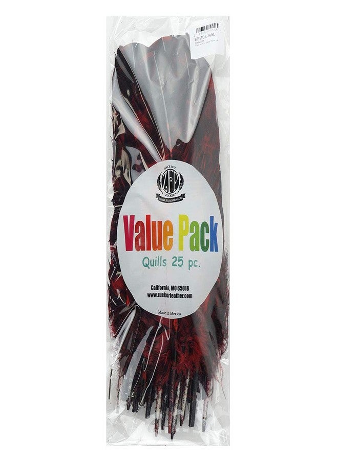 Zucker Loose Turkey Feathers - (25 Pack) Natural Bulk Feathers for Crafting, Holiday Decorating, Weddings, Cosplay (10-12 in) - Image 5