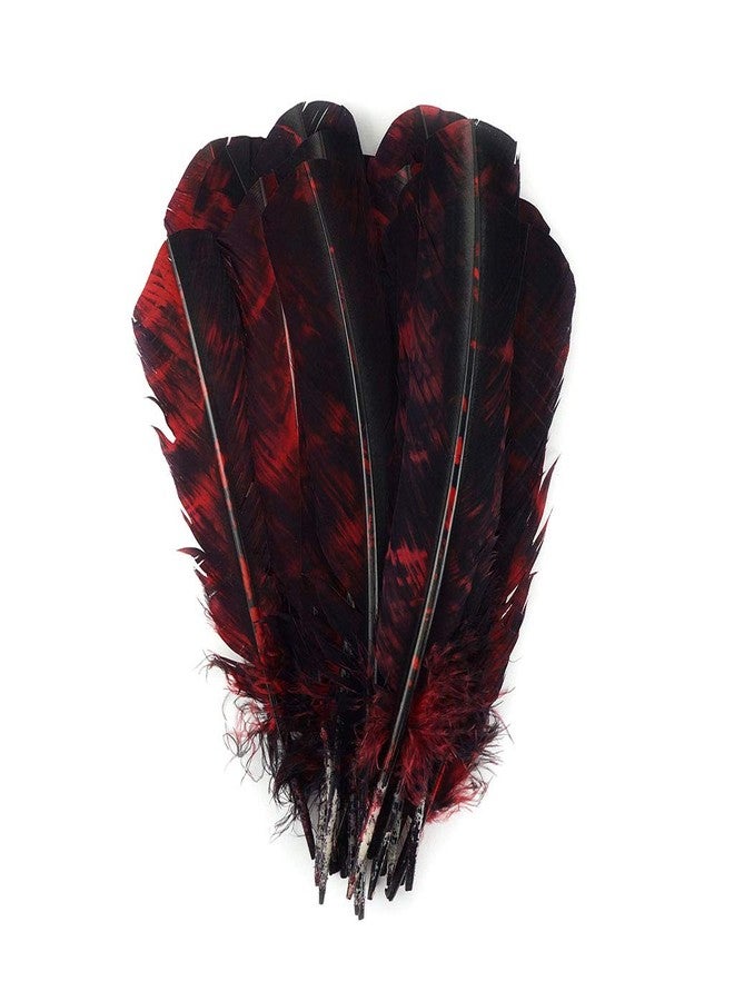 Zucker Loose Turkey Feathers - (25 Pack) Natural Bulk Feathers for Crafting, Holiday Decorating, Weddings, Cosplay (10-12 in) - Image 1