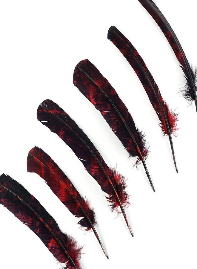 Zucker Loose Turkey Feathers - (25 Pack) Natural Bulk Feathers for Crafting, Holiday Decorating, Weddings, Cosplay (10-12 in) - Image 3