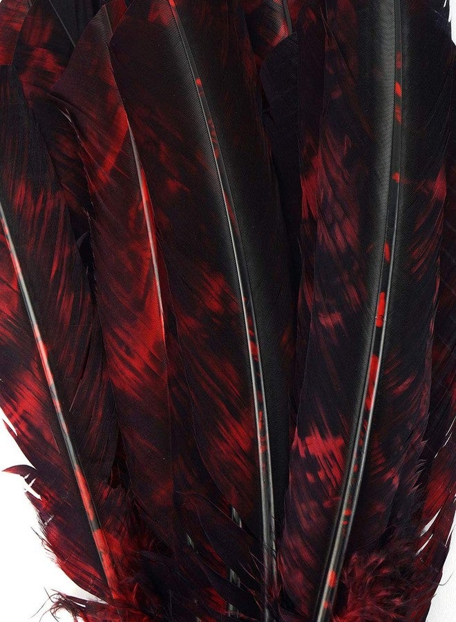 Zucker Loose Turkey Feathers - (25 Pack) Natural Bulk Feathers for Crafting, Holiday Decorating, Weddings, Cosplay (10-12 in) - Image 2