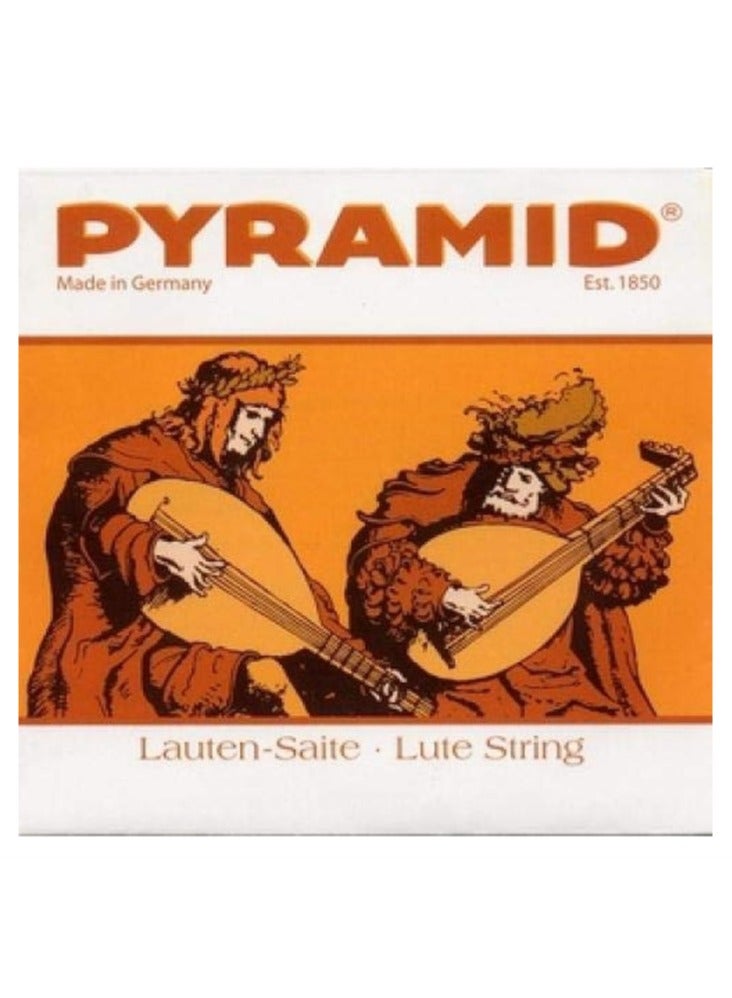 Pyramid Pyramid Oudh Strings - 10 Strings Set Light Tension C-c' Tuning 