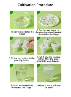 MiDeer Hydroponic cultivation set for kids  - Image 4