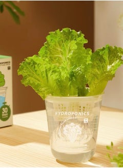 MiDeer Hydroponic cultivation set for kids  - Image 5