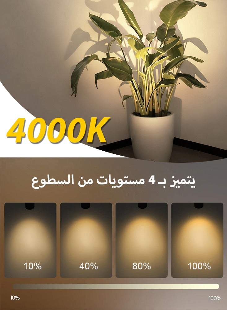 فلوكسهوم عبوتان من مصابيح الحائط اللاسلكية، أضواء كشاف LED داخلية، مصابيح سبوت فنية صغيرة مع مؤقت للتحكم عن بعد - إضاءة صغيرة خافتة للأعلى للنباتات تعرض اللوحة الفنية وخزانة الصور - Image 3