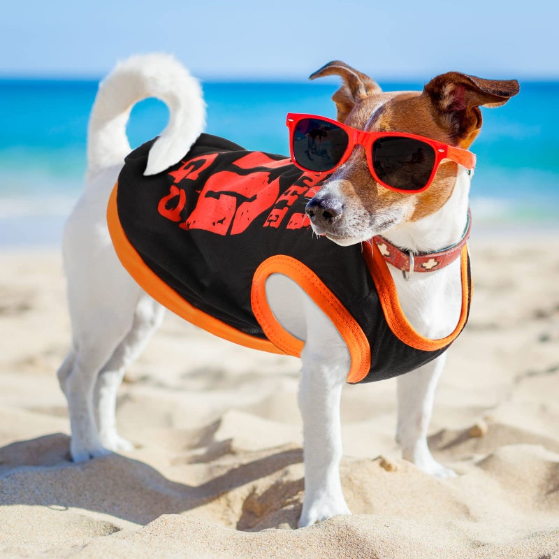 Saintrygo 8 Pieces Dog Shirts Pet Printed Clothes with Funny Letters Summer Pet T Shirts Cool Puppy Breathable Dog Outfit Soft Sweatshirt Cats(Cute Pattern,Medium) - Image 5
