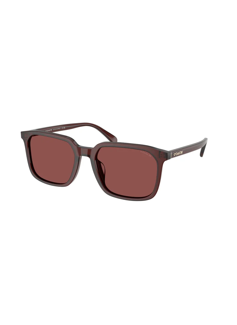COACH Polyamide Standard Man Sunwear