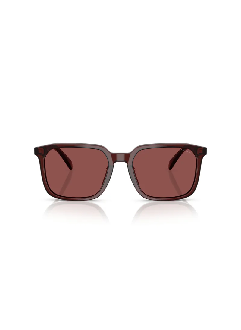 COACH Polyamide Standard Man Sunwear