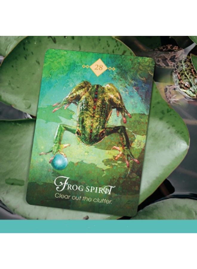 NIBEMINENT The Spirit Animal Oracle: A 68-Card Deck - Animal Spirit Cards with Guidebook - Image 4