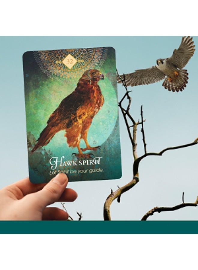 NIBEMINENT The Spirit Animal Oracle: A 68-Card Deck - Animal Spirit Cards with Guidebook - Image 5