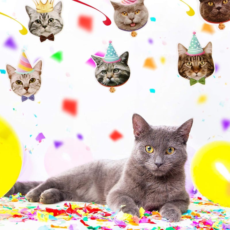 كلاراكو مجموعة واحدة من زينة عيد ميلاد الحيوانات الأليفة من كلاركو، زينة حفلات الحيوانات الأليفة، زينة حفلات القطط، ديكور السقف، زينة عيد ميلاد سعيد، لافتة عيد ميلاد سعيد، لافتة قطط، اختيارات كعكة عيد ميلاد قطط، لافتة حيوانات - Image 5