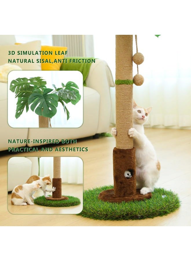 Woochpet Cat Scratching Post for Indoor Cats and Kitten - 35.43" Tall Cat Scratching Post with Sisal Rope,Palm Tree Cat Scratch Post with Hanging Ball - Image 5
