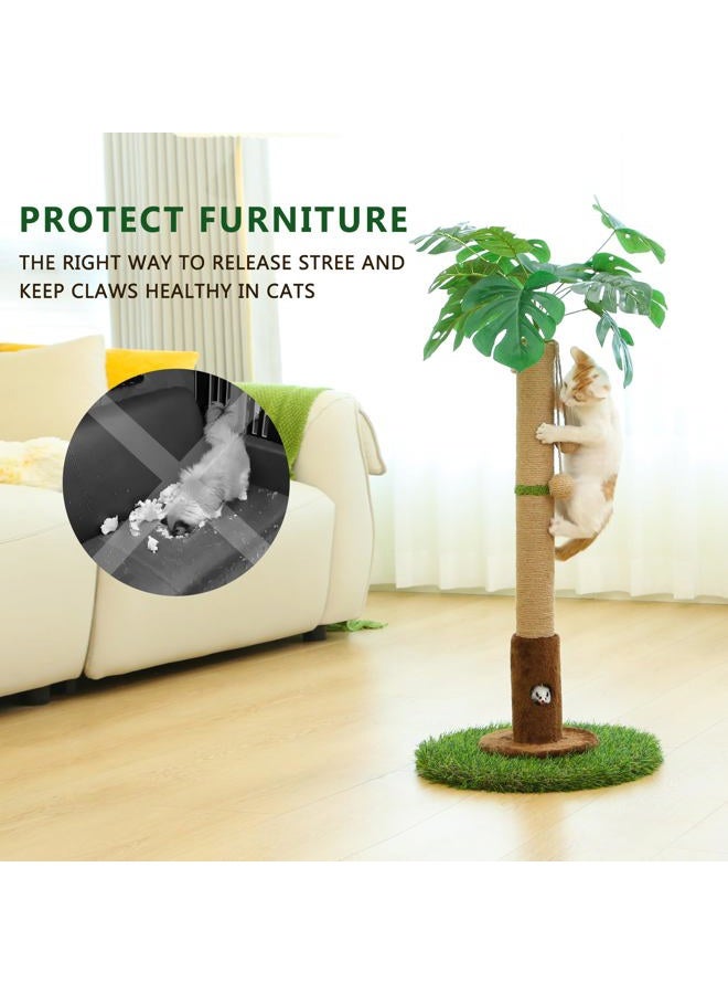 Woochpet Cat Scratching Post for Indoor Cats and Kitten - 35.43" Tall Cat Scratching Post with Sisal Rope,Palm Tree Cat Scratch Post with Hanging Ball - Image 4