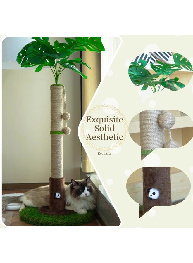Woochpet Cat Scratching Post for Indoor Cats and Kitten - 35.43" Tall Cat Scratching Post with Sisal Rope,Palm Tree Cat Scratch Post with Hanging Ball - Image 2