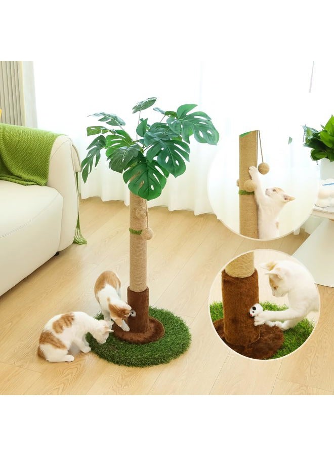 Woochpet Cat Scratching Post for Indoor Cats and Kitten - 35.43" Tall Cat Scratching Post with Sisal Rope,Palm Tree Cat Scratch Post with Hanging Ball - Image 3