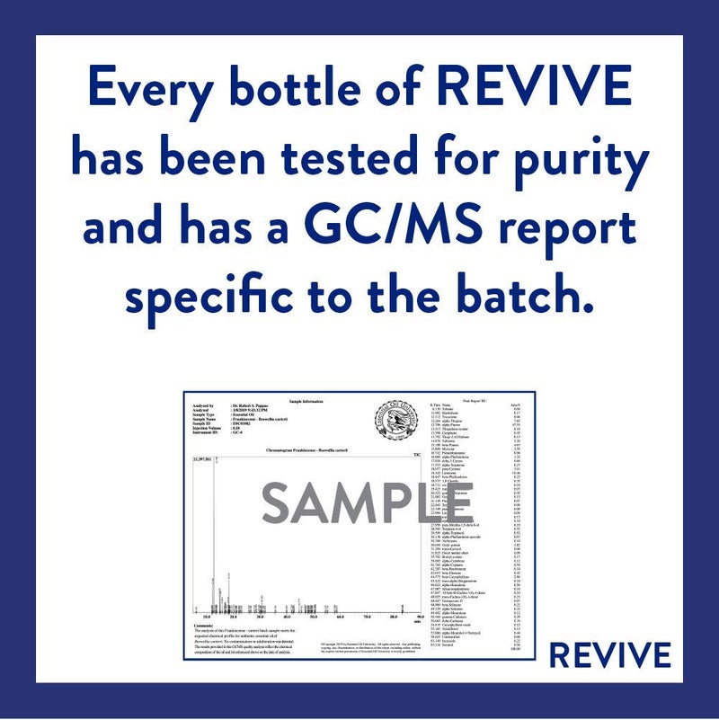 REVIVEEO طقم البداية من ريفيف للزيوت الأساسية - 100% نقية من الدرجة العلاجية، للاستخدام في الناشر، المرطب، التدليك، العلاج بالروائح، العناية بالبشرة والشعر - Image 5