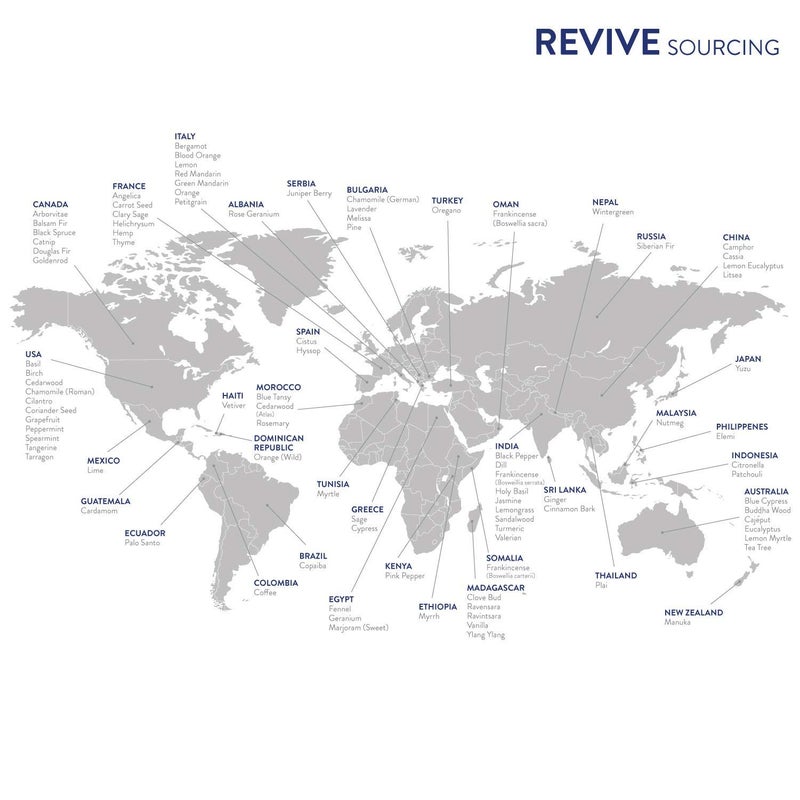 REVIVEEO طقم البداية من ريفيف للزيوت الأساسية - 100% نقية من الدرجة العلاجية، للاستخدام في الناشر، المرطب، التدليك، العلاج بالروائح، العناية بالبشرة والشعر - Image 4