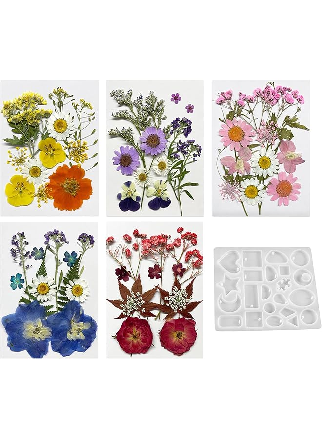 The Bros Dried Pressed Flowers for Resin, 60PCS Real Natural Pressed Flowers with Resin Charm Molds for Scrapbooking DIY Art Crafts Jewelry Molds Candle Soap Making Nails Decor - Image 1