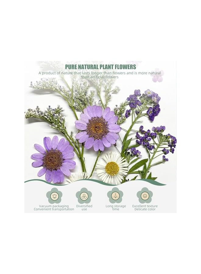 The Bros Dried Pressed Flowers for Resin, 60PCS Real Natural Pressed Flowers with Resin Charm Molds for Scrapbooking DIY Art Crafts Jewelry Molds Candle Soap Making Nails Decor - Image 2