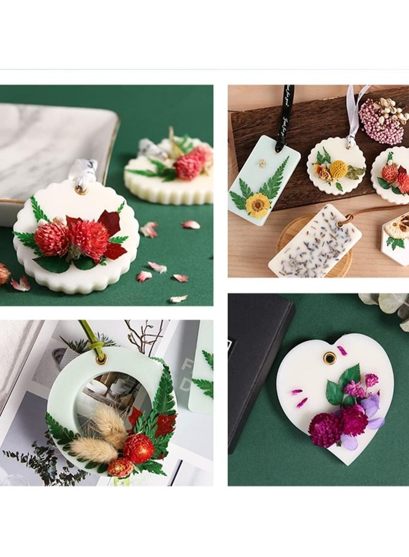 SYOSI 2 Colors Natural Pressed Flowers Multiple Colorful Real Dried Flowers Decorative for Art Crafts DIY Dry Flat Flowers Leaves for Resin Molds - Image 4