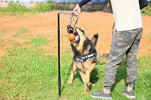 Highland Farms Select Dog Retractable Interactive Training Tug Toy - Pet Obedience Training Tug - Stable Exercise Metal Pole & Spring Rod with Replaceable Chew Rope for Small/Medium Dogs - Image 5