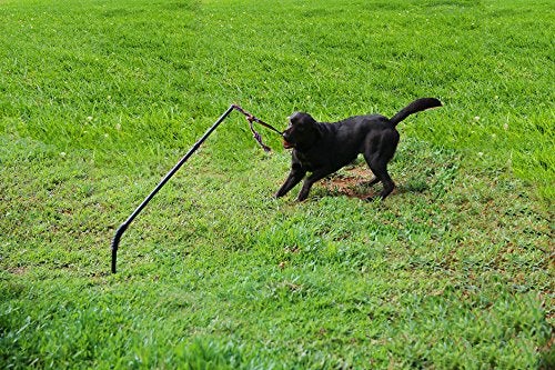 Highland Farms Select Dog Retractable Interactive Training Tug Toy - Pet Obedience Training Tug - Stable Exercise Metal Pole & Spring Rod with Replaceable Chew Rope for Small/Medium Dogs - Image 4