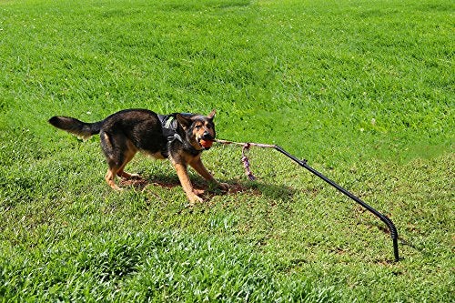 Highland Farms Select Dog Retractable Interactive Training Tug Toy - Pet Obedience Training Tug - Stable Exercise Metal Pole & Spring Rod with Replaceable Chew Rope for Small/Medium Dogs - Image 3