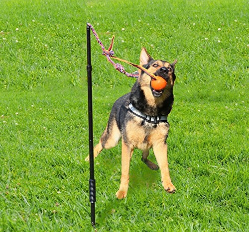 Highland Farms Select Dog Retractable Interactive Training Tug Toy - Pet Obedience Training Tug - Stable Exercise Metal Pole & Spring Rod with Replaceable Chew Rope for Small/Medium Dogs - Image 2