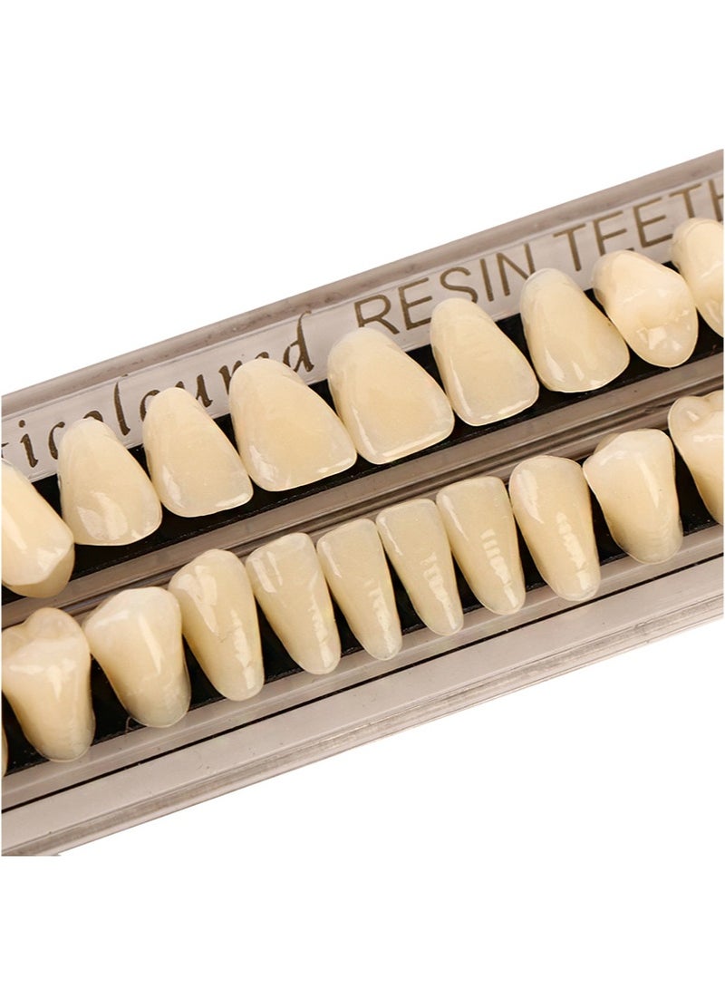 Aikanbo Composite Resin Teeth，56 Pieces False Teeth，Whole Teeth Synthetic Polymer Denture Teeth，23 Shade A3 Upper + Lower Dental Materials for Replacement  - Image 2