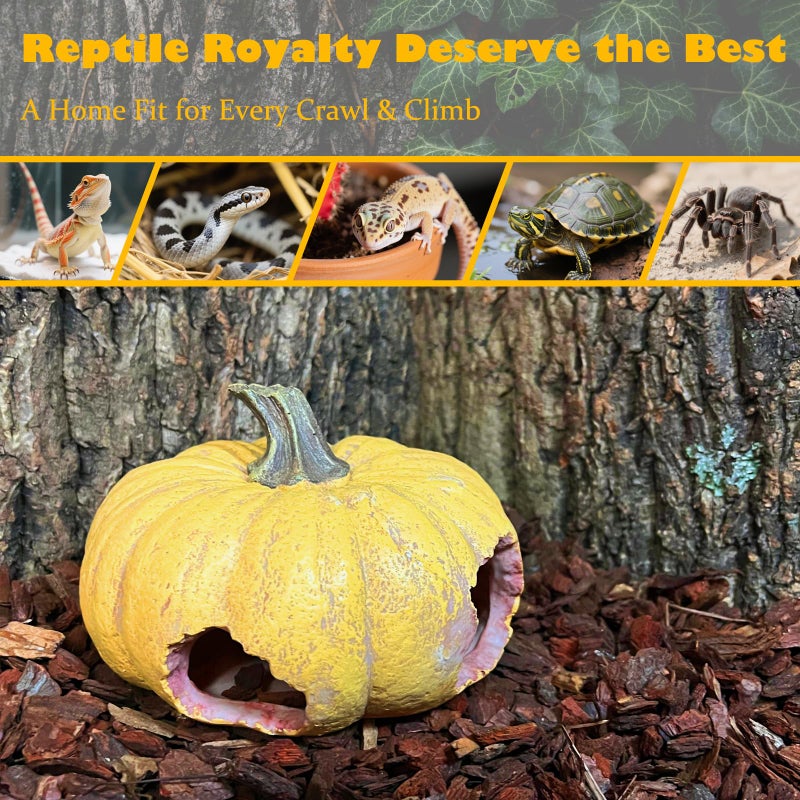 Kocris Casa Pumpkin Leopard Gecko Hide Reptile Bearded Dragon Tank Hideout Caves Accessories Halloween Turtle Lizard Snake DÃ©cor Amphibian Habitat Tortoise Terrarium Decoration - Image 2