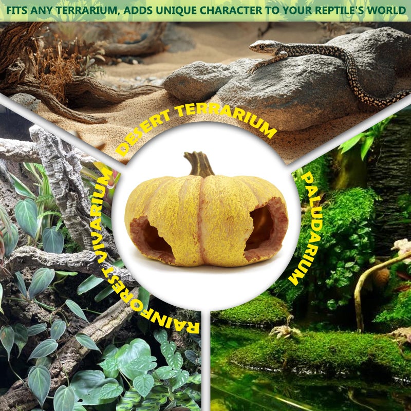 Kocris Casa Pumpkin Leopard Gecko Hide Reptile Bearded Dragon Tank Hideout Caves Accessories Halloween Turtle Lizard Snake DÃ©cor Amphibian Habitat Tortoise Terrarium Decoration - Image 5