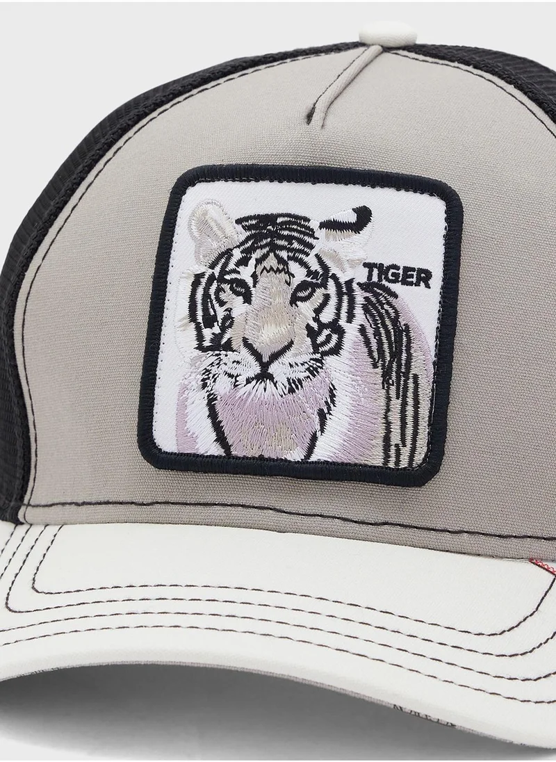 جورين بروس. كاب Mv Stripes بقبعة منحنية