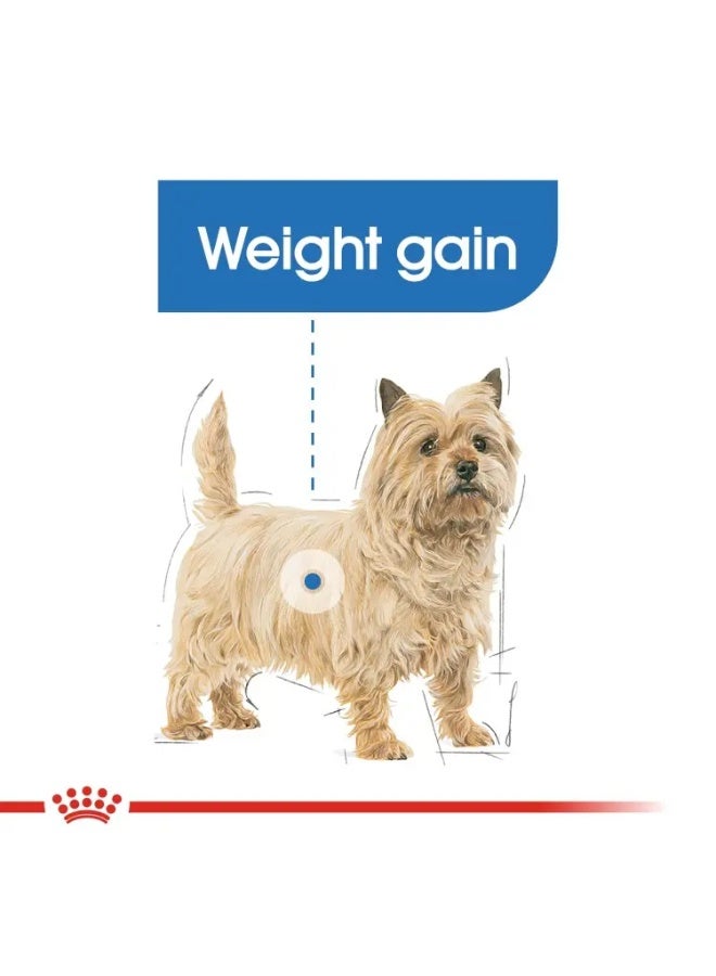 Royal Canin Canine Care Nutrition Mini Light Weight Care Dry Food Bag 3kg - Image 2