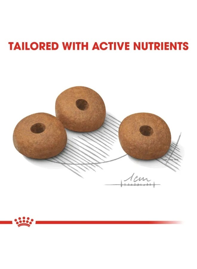 Royal Canin Canine Care Nutrition Mini Light Weight Care Dry Food Bag 3kg - Image 3