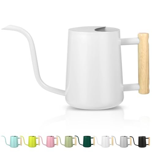 Watering Can Indoor Plants 35oz Small Stainless Steel Metal Watering Can Modern Decorative Watering Pot with Long Spout for Indoor House Plant Bonsai Outdoor Garden Flowers White