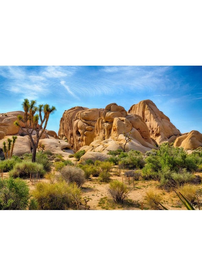 BELECO 5X3Ft Fabric Desert Backdrop Joshua Tree National Park Photography Backdrop Odd Trees Rocky Mountains Natural Scenery Holiday Background Hiking Camping Pictures Home Decor Photo Studio Props - Image 1