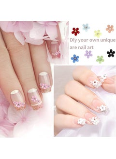 BOOBEEN 3D Nail Art Supplies, 3D Flowers for Nails, 12 Grids 3D Flower Nail Charms with metal Nail caviar beads, Nail accessories for manicure DIY nail decoration, Nail Art Kit - pzsku/Z8DB7F842373BFDECBFF8Z/45/_/1738306378/ed3a0680-8aad-4848-9639-34ecbe6bc7c7