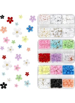 BOOBEEN 3D Nail Art Supplies, 3D Flowers for Nails, 12 Grids 3D Flower Nail Charms with metal Nail caviar beads, Nail accessories for manicure DIY nail decoration, Nail Art Kit - pzsku/Z8DB7F842373BFDECBFF8Z/45/_/1738306444/0b16c6cd-fde1-4ab8-bd3d-b22c79c57296