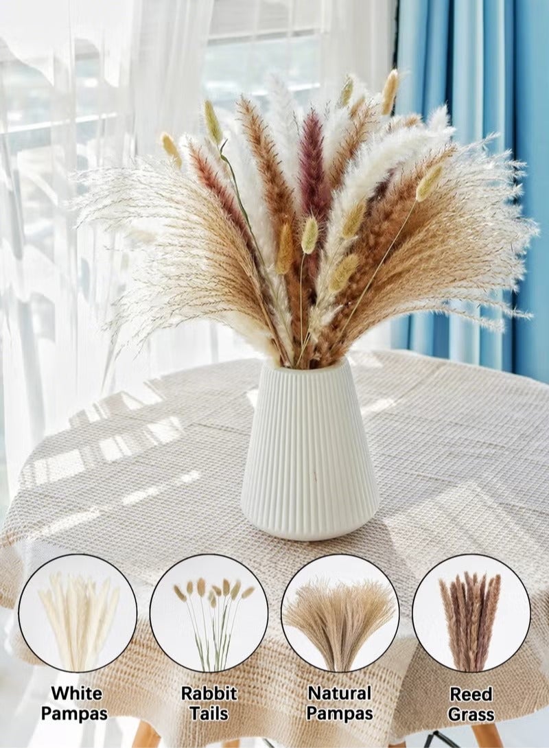 Unewshi 60PCS Natural Dried Pampas Grass Bouquet Brown White Reed Pampas Floral Arrangements Decorations for Home Room Office Party Decor - Image 1