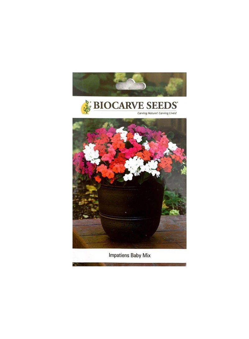 BIOCARVE SEEDS Impatiens Baby Mix Flower Seeds