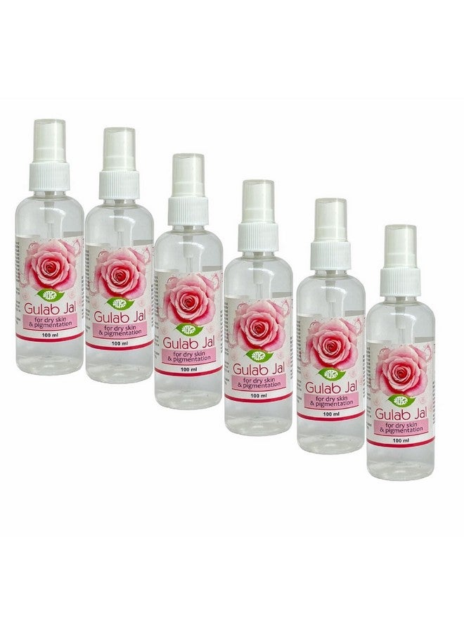 Meghdoot Khadi Meghdoot Pure & Organic Rose Water Natural Facial Toner for Dry Skin and Pigmentation Hydrating & Refreshing Mist Suitable for All Skin Types 100ml Each, Pack of 6 - Image 1