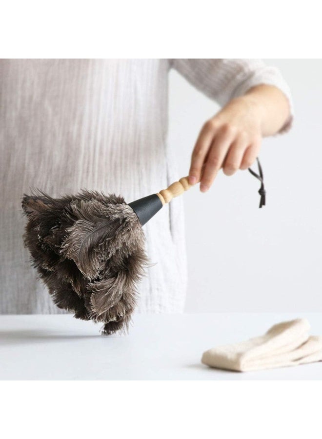 انفلكس فرشاة الغبار المنزلية المصنوعة من ريش النعام من INFLUX (صغيرة) - Image 4