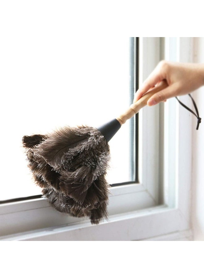 انفلكس فرشاة الغبار المنزلية المصنوعة من ريش النعام من INFLUX (صغيرة) - Image 5