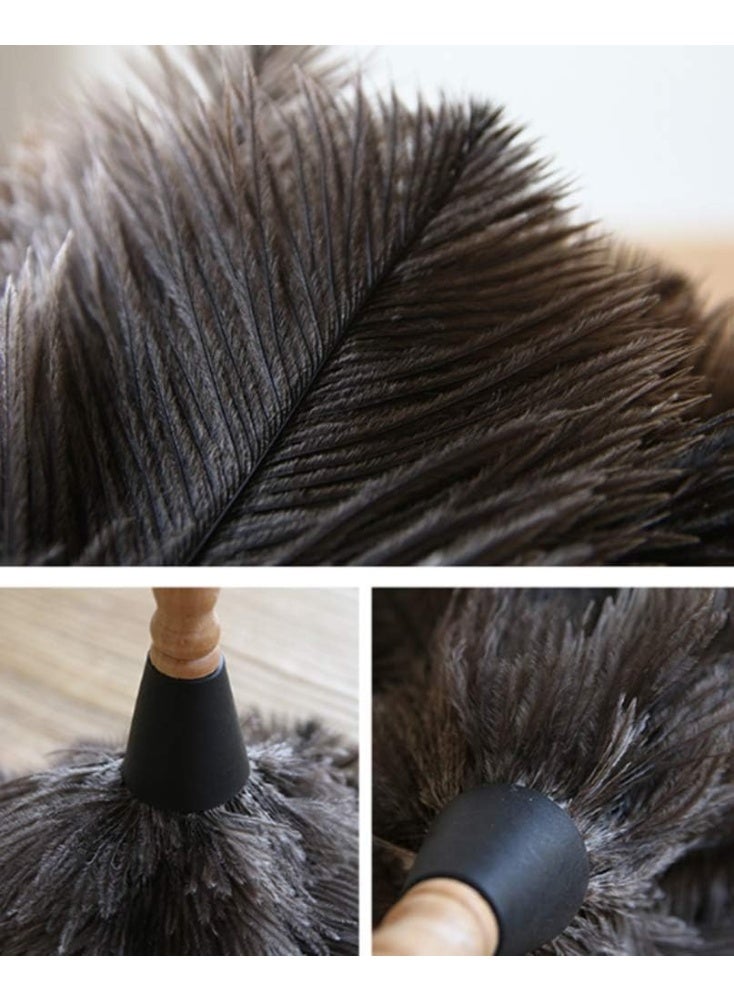 انفلكس فرشاة الغبار المنزلية المصنوعة من ريش النعام من INFLUX (صغيرة) - Image 2