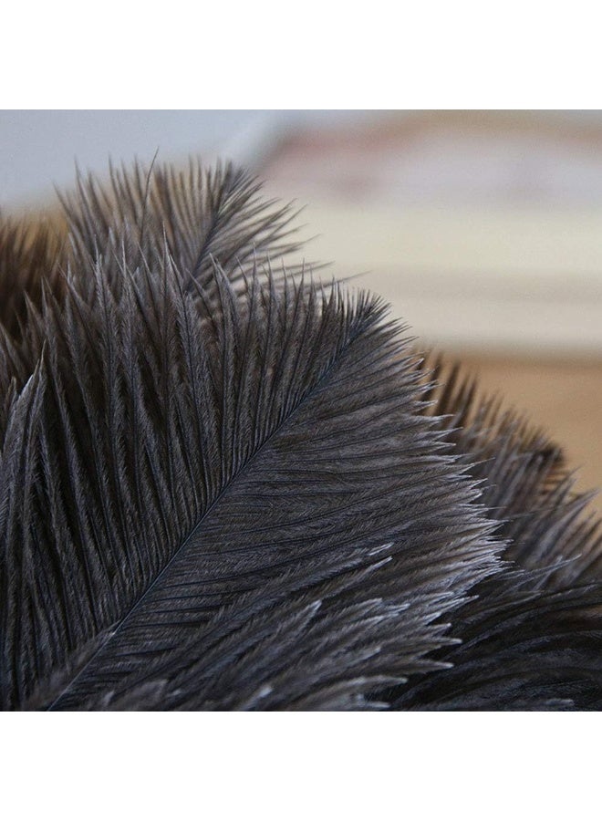 انفلكس فرشاة الغبار المنزلية المصنوعة من ريش النعام من INFLUX (صغيرة) - Image 3