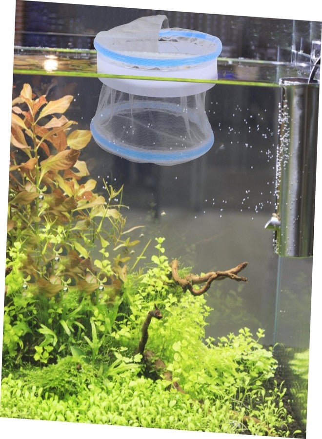 سوبفوكس حوض عزل من شبك النايلون من SUPVOX، قطعتان، لصغار سمك الجوبي، شبكة شفافة للتفقيس، للاستخدام في أحواض السمك لتربية الأسماك ومراقبتها بسهولة. - Image 5