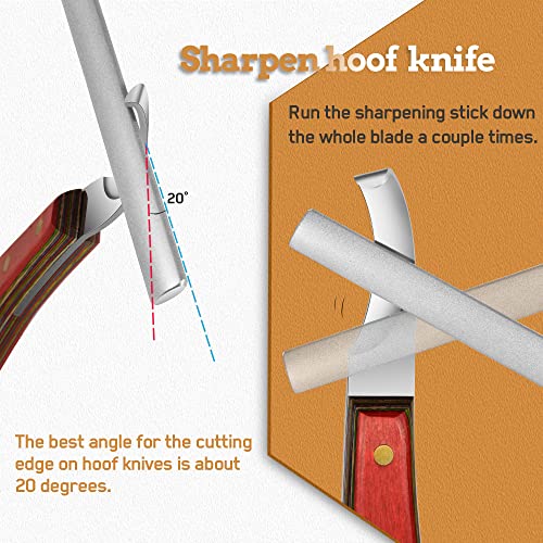 Antidious Hoof Knife Sharpener, 5 inch Farrier tool Honing Rod with Diamond Coated to Keep Hoof Knives and Cutting Instruments Sharp - Image 3